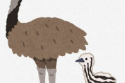 エミューという鳥さん、びっくりするだけで死んでしまう雑魚メンタルだった…