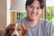 【悲報】大谷翔平さん、犬を飼うとき嫁に事後報告だったことが判明してしまう・・・・・・・
