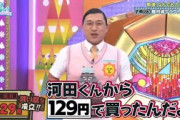 【ありえない価格の買い取り】129円河田陽菜作駿府城クラフトキットと5001円濱岸ひよりの全てを知ってるおじさんフィギュア・カンペ棒読みのMC平尾帆夏・開運！なんでもカス定団【ひなあい切り抜き】