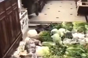 【動画】中国、上海封鎖で混乱！買い占め、乱闘！買い占め勝ち組の人は不気味に笑う…