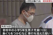【速報】報知新聞社員が小学生の胸をつかみ逮捕