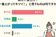 相次ぐ値上げにママたちが一番キツイ！と実感しているモノとは＜ママのリアル調査＞