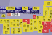 外国人「日本のコロナ感染者が過去最多になってる…東京は3177人」