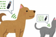 犬猫にマイクロチップを埋める義務が本日よりスタート！ ペットを捨てる飼い主はすぐに特定されるから、責任持って飼おうな？