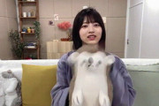 【乃木坂46】林瑠奈×悲しい目をしているハリネズミ.gif 3連発！ﾊﾞﾝ×連打×そこ代われ