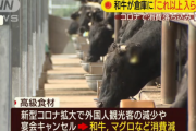 【悲報】和牛、在庫余りすぎ