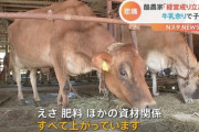 日本「北海道の酪農家は９万トンの生乳抑制しろ！海外からは１３万トン輸入の維持するぞ！」北海道の酪農家「・・・は？」