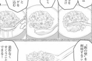 【食のこだわり漫画】お前ら炒飯をレンゲで上手くすくって食べてる？