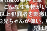 【動画】 撮り鉄が撮影の邪魔になった子供を母親から取り上げ、母親が土下座しながら「息子を返して」と懇願する衝撃動画が再び話題に