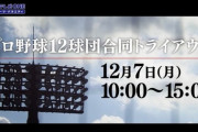 プロ野球合同トライアウトまであと3日w w w w w w w w