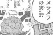 【ONEPIECE -ワンピース】麦わらのルフィ「俺メラメラの実欲しい！」←これおかしいｗｗｗ