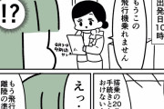 女さん「飛行機乗るの難しすぎるという漫画を描きました」2.4万いいね