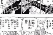 ロロノア・ゾロ「たかだか人間1人の能力だ！」←カッケェ