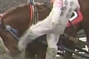 【ウマ娘】ばんえい競馬で騎手が動けなくなった馬の顔を蹴飛ばし戒告処分。ウマ娘から競馬始めたウマ娘オタクさんTwitterでリンチを始めてしまう…