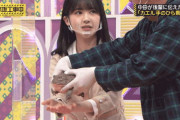 【乃木坂46】筒井あやめ×公式カエル フェイントあやめん .gif【乃木坂工事中】