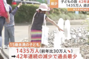 【緊急】子どもの数、去年より30万人減って1435万人…さすがに減りすぎだろ