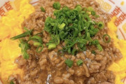 【ななし】湖南みあ「ふわとろそぼろ丼作れます」