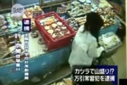 在日韓国人で大阪市内の中学校講師、許京美容疑者を万引きで逮捕  [5/18]