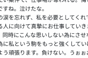 中堅声優「フォロワー数バズりを期待できる人にしたい案件で仕事場が奪われる、悔しい、泣けた」