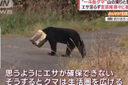 【悲報】秋田県のクマさん出没マップがフィーバー状態ｗｗｗｗｗｗｗｗｗｗ