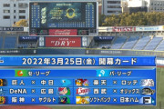 横浜DeNAベイスターズ開幕スタメン予想！！！！