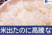 1年前と比較した『米の平均価格』、とんでもないことになっていた・・・メルカリ米転売ヤー大勝利へ