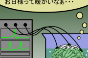 東大教授「脳を半分切って機械に繋げ、機械に意識が宿ると証明する。自分が最初の被験者になる」