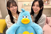 【日向坂46】おひさま、さすがにポカに同情するｗｗｗｗｗｗｗ