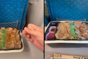 外国人「日本の駅弁は紐を引っ張るとセルフ加熱されるんだぜ」