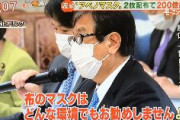 【悲報】国民民主・原口一博、朝日新聞のフェイクニュース「WHO、布マスクはどんな状況でも勧めない」を国会で披露