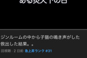 【朗報】タイピー日記さん、炎天下の車のエンジンルームから子猫を保護するwwwwwwww