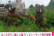 【悲報】上海ディズニーランド、長期間ロックダウンで木が伸び放題になって終わる　（画像あり）
