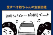 【悲報】駅員「撮り鉄はさほど害はない、関わりたく無いのは乗り鉄と音鉄」