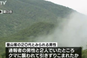 北海道羅臼岳で「友人がヒグマに襲われた」と通報、友人は引っ張られて姿が見えなくなる