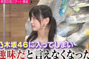 池田瑛紗 ｢乃木坂46に入って趣味だと言えなくなった｣【乃木坂46】