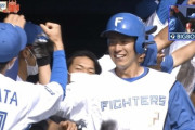今年の日ハム、ベンチの雰囲気が高校野球みたい