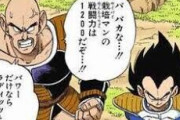 ラディッツ（栽培マンと同じくらいのパワー）って絶対ベジータやナッパにいじめられてたよな