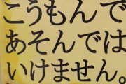 例のブラギガスの撮影者が名乗り出る