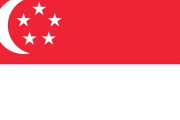 「子供が産めないのは政府の支援不足」という言説をシンガポールが反証してしまう
