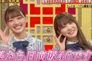 【日向坂46】今週の突破ファイル、危険な大喜利タイムに突入せずおひさまも安堵