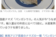 【画像】日本人、ついに激安の訳わからん魚を「うまいうまい」と食べ始めるｗｗｗ