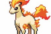 【悲報】新作ポケモンのポニータさん、変わり果てた姿で発見される・・・・・