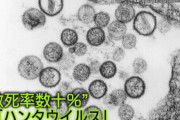 【悲報】高確率で死ぬ『ハンタウイルス』ヒトヒト感染でいよいよ洒落にならない状況になってくるｗｗ