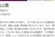 岡山県に引っ越してきたんだけど、何かおすすめとかある？？