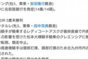 週末2日間でなんと22頭の馬がレース直前に異常発生で除外、競争中止などアクシデント多発