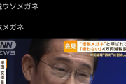 【悲報】岸田文雄さん、こんどは「宗教メガネ」とあだ名を付けられてしまうｗｗｗｗｗｗｗｗｗ