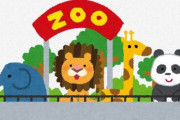 中国動物園、アムールトラ20頭死ぬ　キリン、ライオンも　経営問題で飼育環境悪化 [5/14]