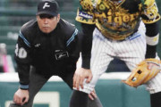 白井審判員が三塁塁審を務めた阪神―中日戦　大きな混乱なく終了