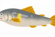 川魚ってなんで不味いの？