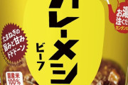 【悲報】“カレーメシダイエット”ニキ、“完全メシ”と勘違いして終わる・・・・